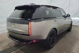 Range Rover Model 2023 Milage 10 km only the meter