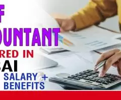 Chief Accountant Required in Dubai