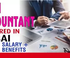 Cash Accountant Required in Dubai