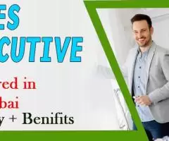 Sales Executive Required in Dubai