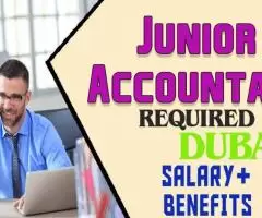 Junior Accountant Required in Dubai