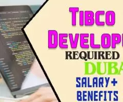 Tibco Developer Required in Dubai