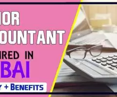 Junior Accountant Required in Dubai