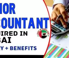 Senior Accountant Required in Dubai