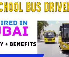 School Bus Driver Required in Dubai -