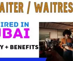 Waiter / Waitress Required in Dubai