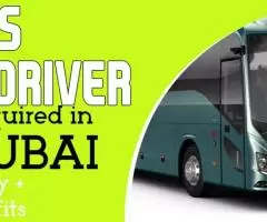 Bus Driver Required in Dubai