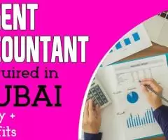 Urgent Accountant Required in Dubai