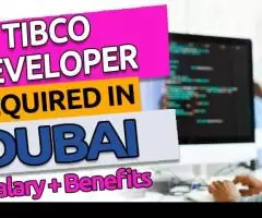 Tibco Developer Required in Dubai