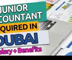 Junior Accountant Required in Dubai