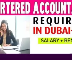 Chartered Accountant Required in Dubai