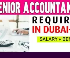 Senior Accountant Required in Dubai