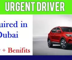 Urgent Driver Required in Dubai