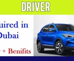 Driver Required in Dubai