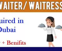 Waiter/ Waitress Required in Dubai