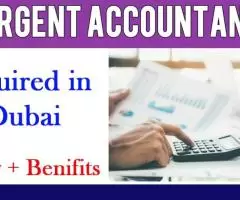 Urgent Accountant Required in Dubai