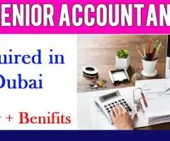 Senior Accountant Required in Dubai