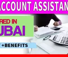 Account Assistant Required in Dubai