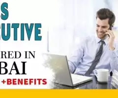 Sales Executive Required in Dubai