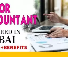 Junior Accountant Required in Dubai