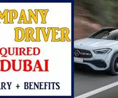 COMPANY DRIVER Required in Dubai