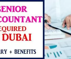 Senior Accountant Required in Dubai