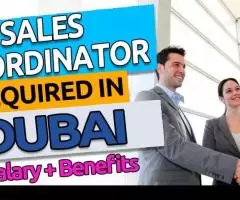 Sales Coordinator Required in Dubai