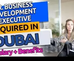 Sr. Business Development Executive Required in Dubai