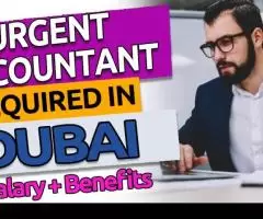 Urgent Accountant Required in Dubai