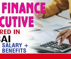 Sr. Finance Executive Required in Dubai