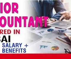 Senior Accountant Required in Dubai