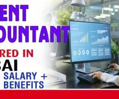 Urgent Accountant Required in Dubai