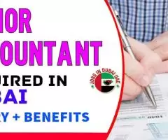 Junior Accountant Required in Dubai