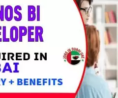 Cognos BI Developer Required in Dubai