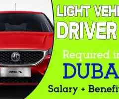 Light Vehicle Driver Required in Dubai