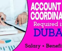 Account Coordinator Required in Dubai