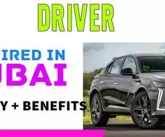 Driver Required in Dubai