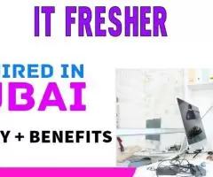 IT Fresher Required in Dubai