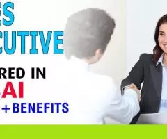 Sales Executive Required in Dubai