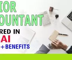 Senior Accountant Required in Dubai