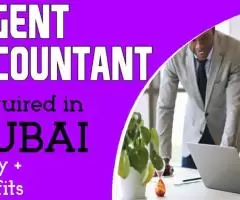 Urgent Accountant Required in Dubai