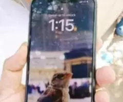 Iphone Xs Max Ram