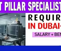 IT Pillar Specialist Required in Dubai -