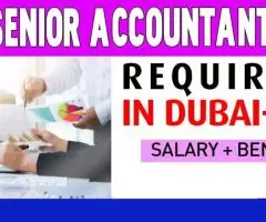 Senior Accountant Required in Dubai