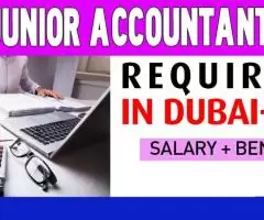 Junior Accountant Required in Dubai