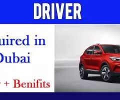 Driver Required in Dubai