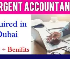 Urgent Accountant Required in Dubai