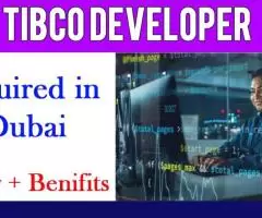 Tibco Developer Required in Dubai