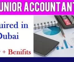 Junior Accountant Required in Dubai