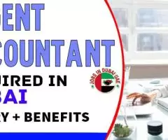 Urgent Accountant Required in Dubai